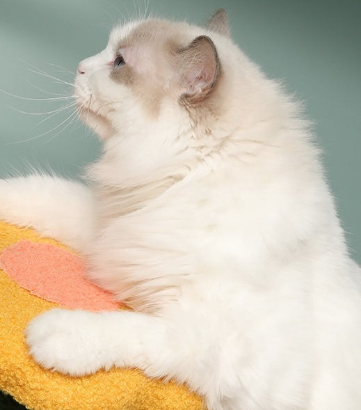 bb648a72279d414441d8375759548d4b