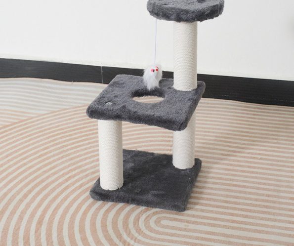 dcfb182628d88f80255636c591669036