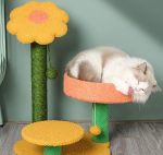 dba03c6b614f36ea71a618efc0cb5841