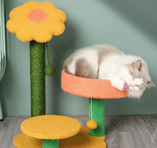 e2553a284a4e986c6cac1555a37e0bc6